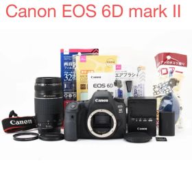 一眼レフカメラ Canon EOS 6D Mark II 望遠レンズセット