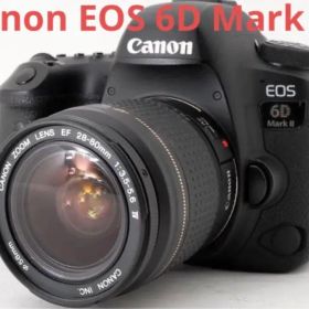 キヤノン Canon EOS 6D Mark II 標準レンズセット