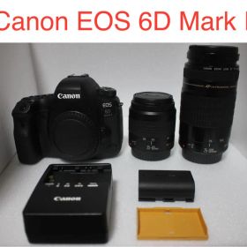 Canon EOS 6D Mark II標準&望遠ダブルレンズセット