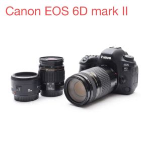 Canon EOS 6D Mark II 標準&望遠ダブルレンズセット