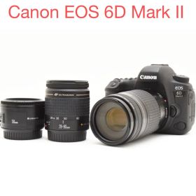 Canon EOS 6D mark II 標準&望遠&単焦点トリプルレンズセット