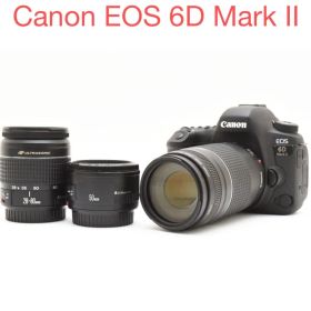 一眼レフカメラCanon EOS 6D mark II標準&望遠&単焦点セット