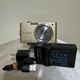 動作品☆ Panasonic LUMIX DMC-FX60 コンデジ
