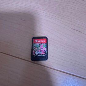 スプラトゥーン2 Nintendo Switch カートリッジ