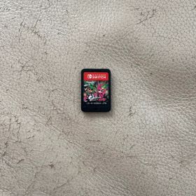 スプラトゥーン2Nintendo Switch ソフト