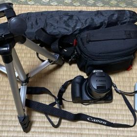 キヤノン デジタルカメラ PowerShot SX530 HS