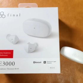 【動作◎、付属品完備】final ZE3000 ワイヤレスイヤホン