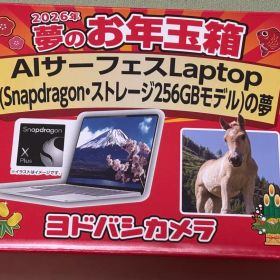 Surface Laptop 13インチ 256GB ヨドバシ 福袋