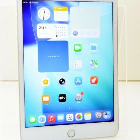 白ロム SIMフリー docomo SIMロック解除済 Apple iPad mini5 Wi-Fi+Cellular 64GB iPadOS26.2 シルバー MUX62J/A 初期化済 【m029632】【中古】【K20260126】