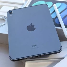 iPad mini6 グレイ 256GB セルラー・Pencil2 付き