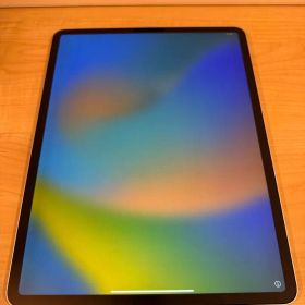 【動作良好】iPad pro 第4世代 12.9インチ A2229 シルバー