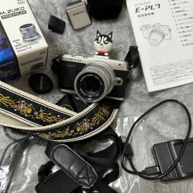 ・美品・OLYMPUS PEN E-PL7 レンズ45mm f1.8付きセット