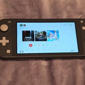 Switchライト グレー