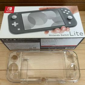 Nintendo Switch Lite グレー、保護フィルム、ハードカバー
