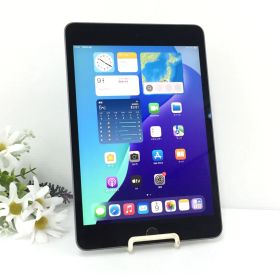 【美品】au iPad mini 第5世代 Wi-Fi＋Cellularモデル 64GB A2124(NUX52J/A) スペースグレイ 動作品