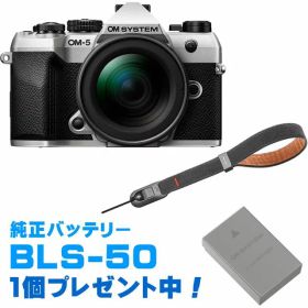 純正スペアバッテリープレゼント！ OM SYSTEM オーエムシステム OM-5 Mark II 12-45mm F4.0 PROレンズキット シルバー＋P-CB-296(ディープグレー) セット
