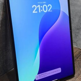 美品 iPad Pro(M4) 13インチ セルラーモデル 256GB