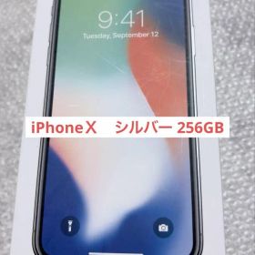 Apple iPhone X 256GB 本体