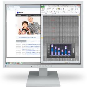 FlexScan S1934-TGY [19インチ セレーングレイ]