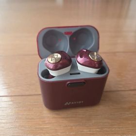 AVIOT トゥルーワイヤレスイヤホン TE-D01d