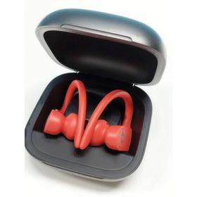 ビーツバイドクタードレ(Beats by Dr Dre)の【現状品】Powerbeats Pro (A2078) ワイヤレスイヤホン(ヘッドフォン/イヤフォン)