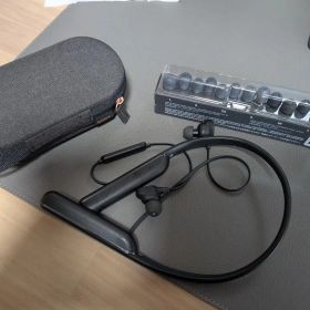 ソニー ワイヤレスノイズキャンセリングイヤホン WI-1000XM2