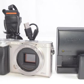 Sony ソニー α6000 ボディ シルバー