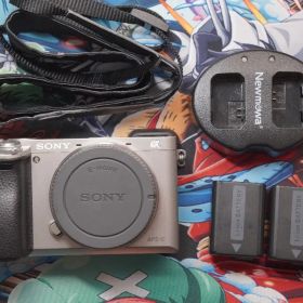 SONY α6000 ミラーレスカメラ シルバー