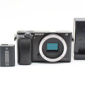 ★良品★ 《ショット数13,978回 》ソニー SONY α6000 ボディ ILCE-6000 ブラック 《バッテリー２つ！》 #1098m