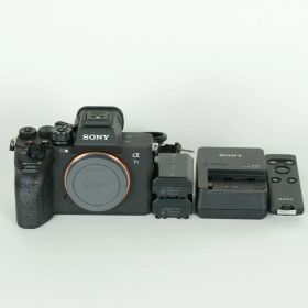 [美品 | シャッター数310回｜バッテリー2個付] SONY α7S III（ILCE-7SM3） | SONY Eマウント
