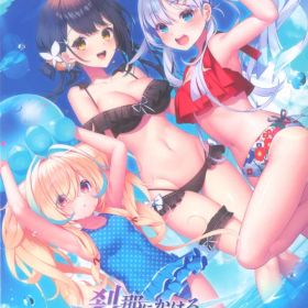 NS 刹那にかける恋はなび 完全生産限定版