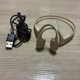 人気の希少ベージュ OpenRun Pro by Shokz S810