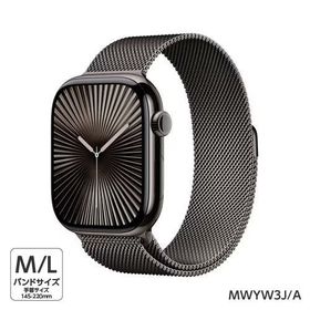 【展示品】アップル Apple MWYW3J/A Apple Watch Series 10（GPS + Cellularモデル） 46mm スレートチタニウムケースとスレートミラネーゼループ M/L