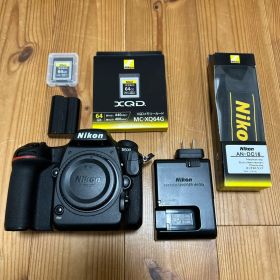 Nikon D500 ボディ【美品】 【最終価格】