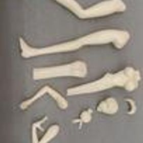 レイ・ファン DEAD OR ALIVE オーバーダード