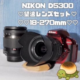 ✨Wi-Fi搭載モデル！レアカラー✨レッド✨D5300Ｗレンズキット✨
