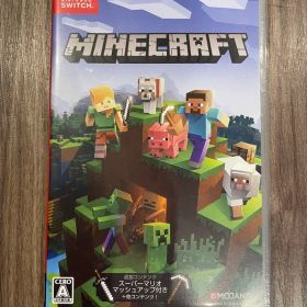 マインクラフト ソフト