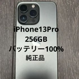 Apple iPhone 13 Pro 256GB