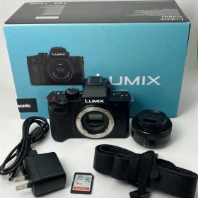 【返品保証・動作確認済】Panasonic LUMIX DC-G100D 標準ズームレンズキット