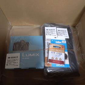LUMIXG100ミラーレス一眼カメラ Kキット ブラック DC-G100K-K