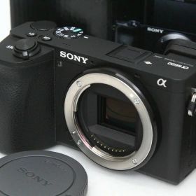 【中古】【美品】ソニー α6600 ILCE-6600 ボディ CA01-R3995-2Q4 SONY Eマウント APS-C 5軸手ブレ補正 EVF 中古