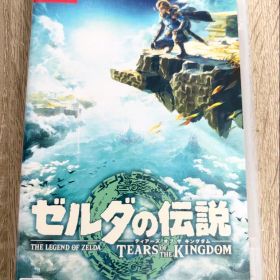 ゼルダの伝説 ティアーズ オブ ザ キングダム