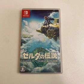 ゼルダの伝説 ティアーズ オブ ザ キングダム