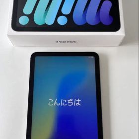 【極美品】 iPad mini 7世代 A17Pro 本体 256GB セルラー