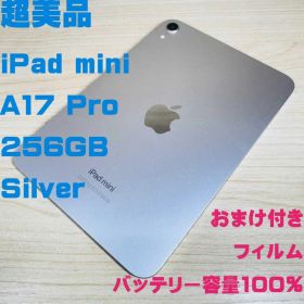 P31 超美品 iPad mini A17 Pro 256GB Wi-Fi