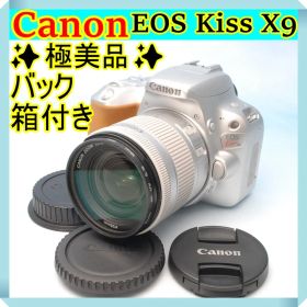 ✨極美品✨キヤノン EOS Kiss X9 希少 シルバー バッテリー劣化無し