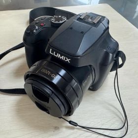 デジタルカメラ LUMIX DC-FZ85