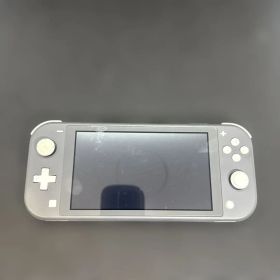 Switchライト グレー