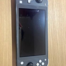 Nintendo Switch Lite グレー 本体