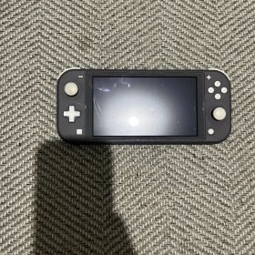 Nintendo Switch Lite ブラック ケース 充電器付き